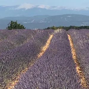 Provence Luberon Location Chez Marcelle Apartment Bonnieux